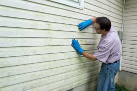 Affordable Siding Repair and Maintenance Services in Spanish Fork, UT